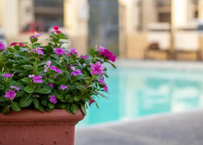 Western A Wayfarer's Inn&suites 3* Kingman
