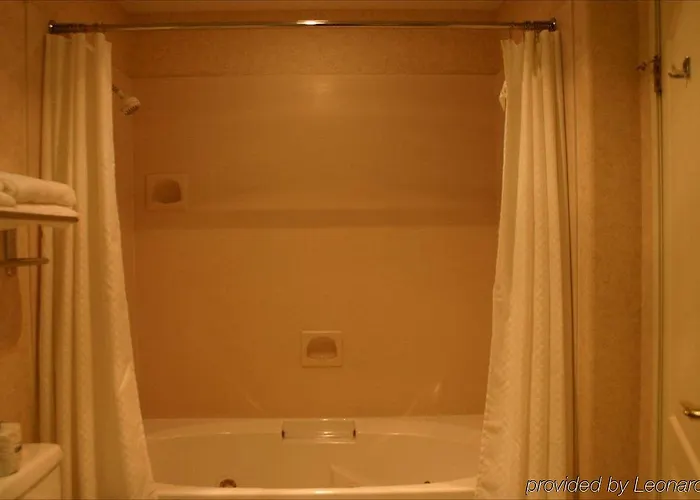 Western A Wayfarer's Inn&suites Hotel 3*