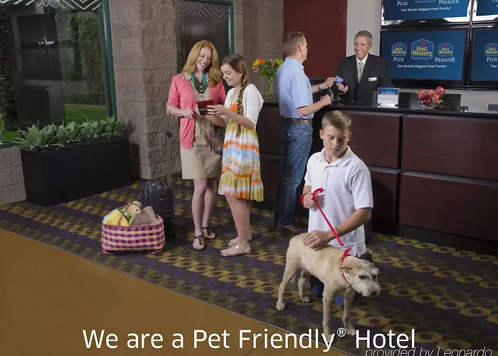 Western A Wayfarer's Inn&suites 3* Kingman